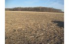 Property photo 12 - 44 Acres Offered in 3 Tracts